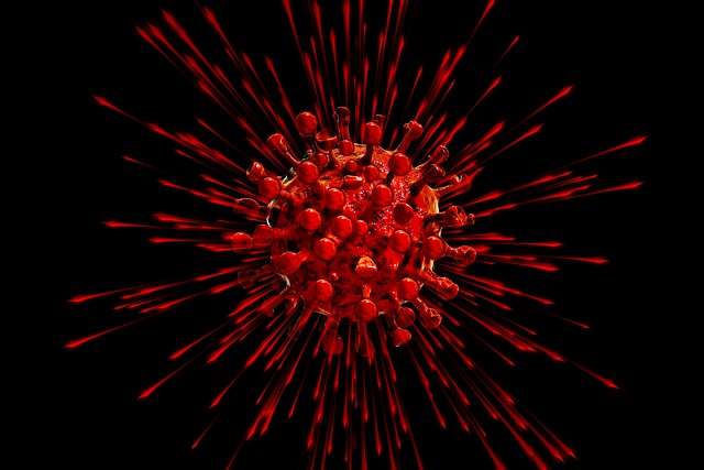 coronavirus